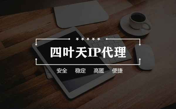 【临沧代理IP】如何快速搭建代理IP？怎么检查代理的效果？